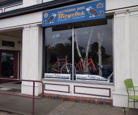 Laughing Dog Bicycles