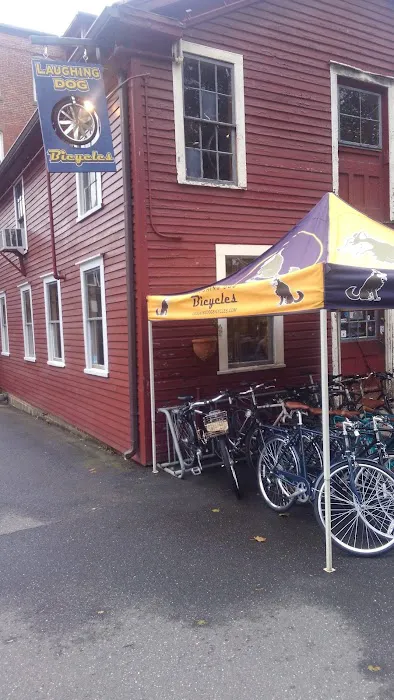 Laughing Dog Bicycles Picture 2