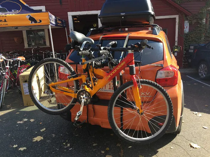 Laughing Dog Bicycles Picture 5