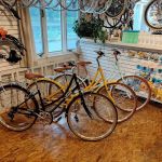 Sadie's Bikes