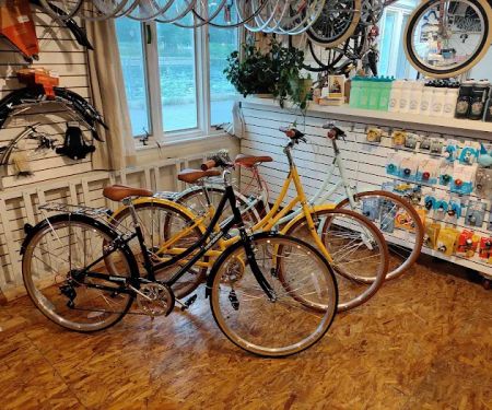 Sadie's Bikes