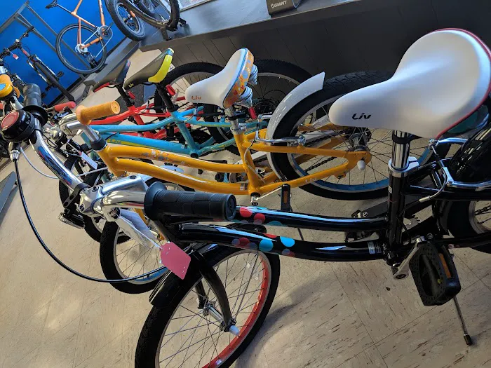 Southbridge Bicycles Picture 3