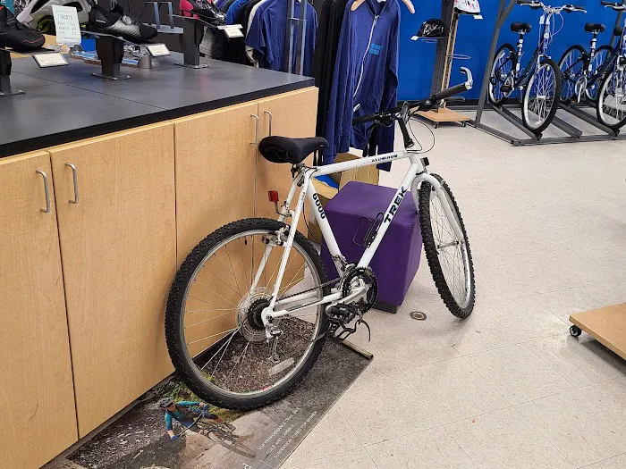Southbridge Bicycles Picture 4