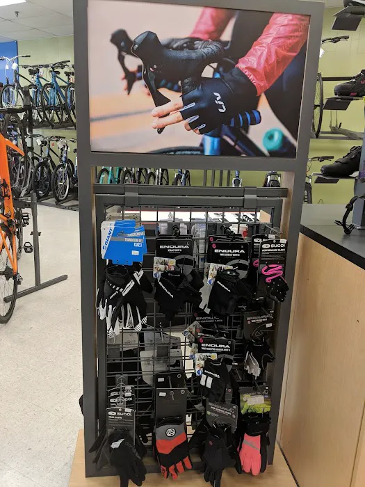 Southbridge Bicycles Picture 9