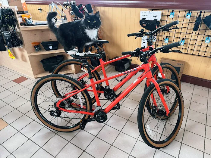 Evergreen Bicycle Works Picture 4