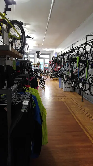 Grey Ghost Bicycles Picture 4