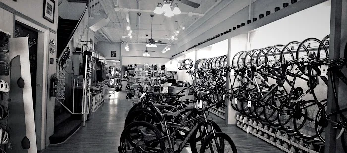 Grey Ghost Bicycles Picture 7