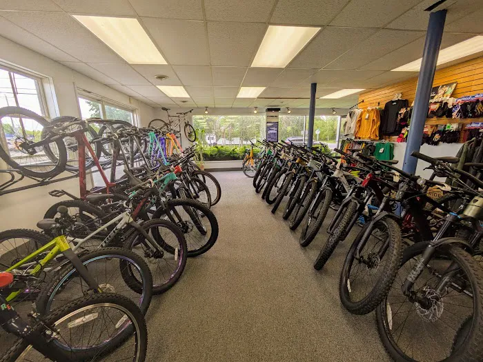 Rick's Bike Shop Picture 3