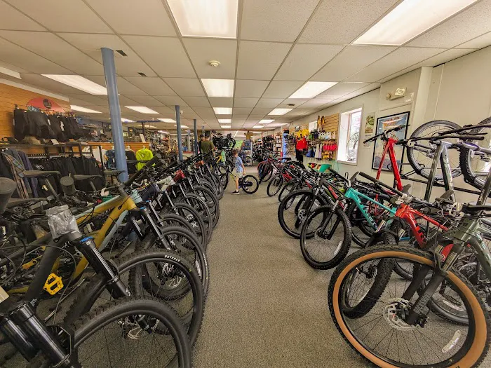 Rick's Bike Shop Picture 6