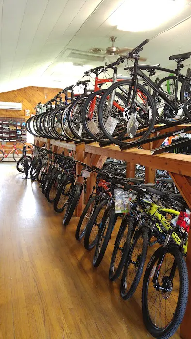 The Bike Works Picture 3