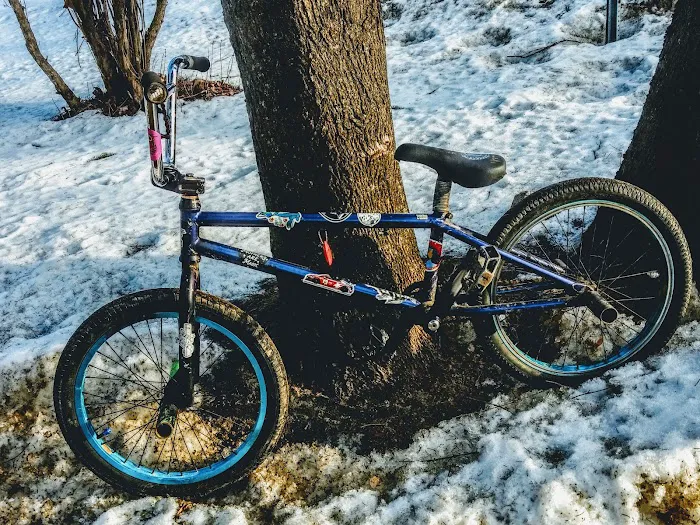 The Bike Works Picture 2