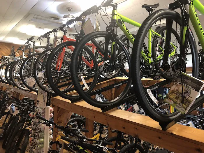 The Bike Works Picture 1