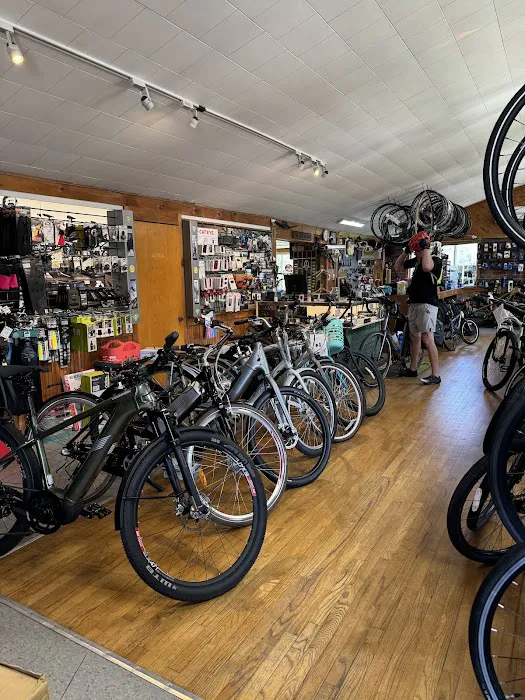 The Bike Works Picture 5