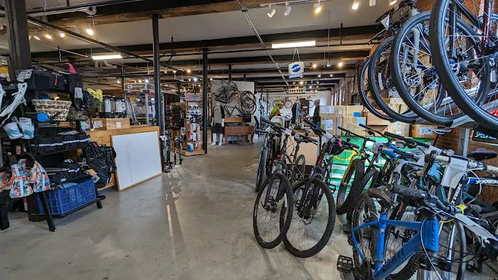 Niantic Bay Bicycles Picture 3