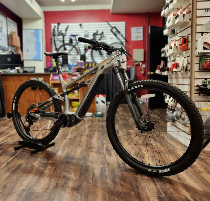 Wayfarer Bicycle Picture 2