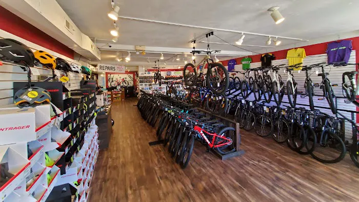 Wayfarer Bicycle Picture 4