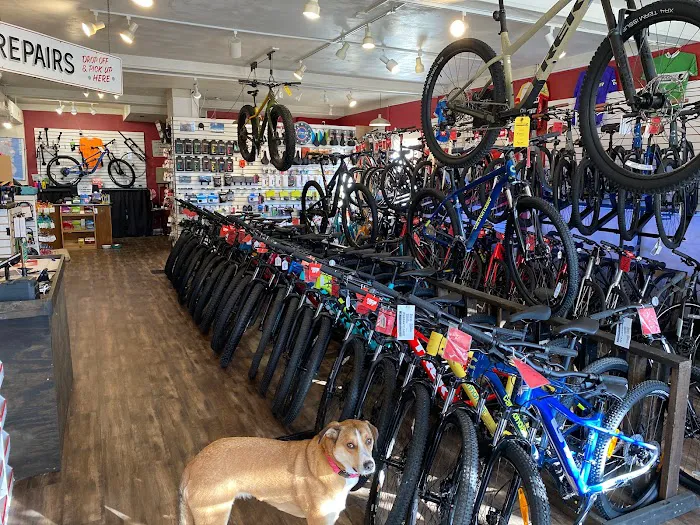 Wayfarer Bicycle Picture 9