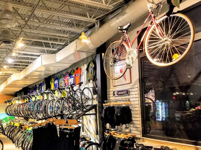 Mystic Cycle Centre Picture 5