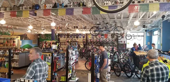 Mystic Cycle Centre Picture 9