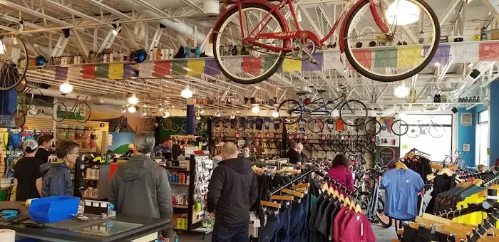 Mystic Cycle Centre Picture 10