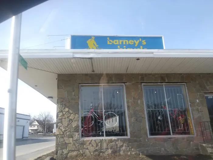 Barney's Bicycle Picture 5