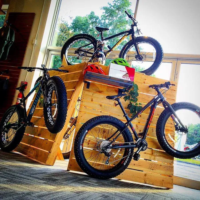 Landry's Bicycles Picture 3