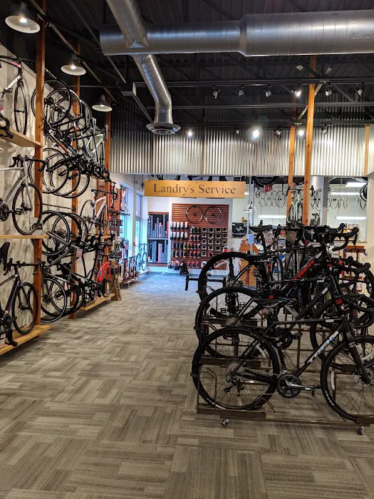 Landry's Bicycles Picture 4