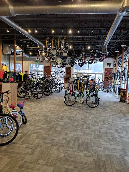 Landry's Bicycles Picture 6