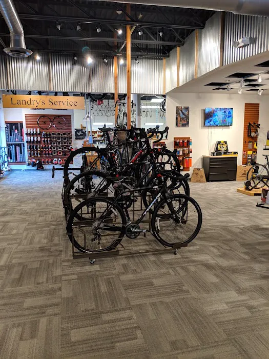Landry's Bicycles Picture 8