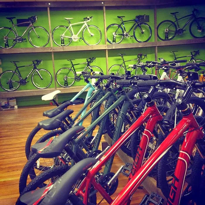 Fritz's Bicycle Shop Picture 6