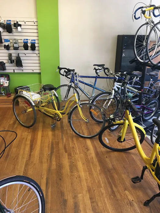 Fritz's Bicycle Shop Picture 9