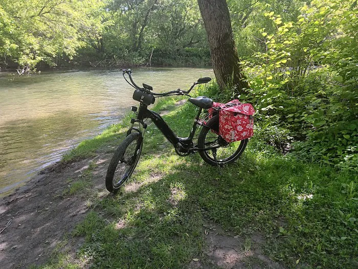 Bushbustingbikes LLC Picture 2