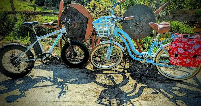 Bushbustingbikes LLC Picture 5