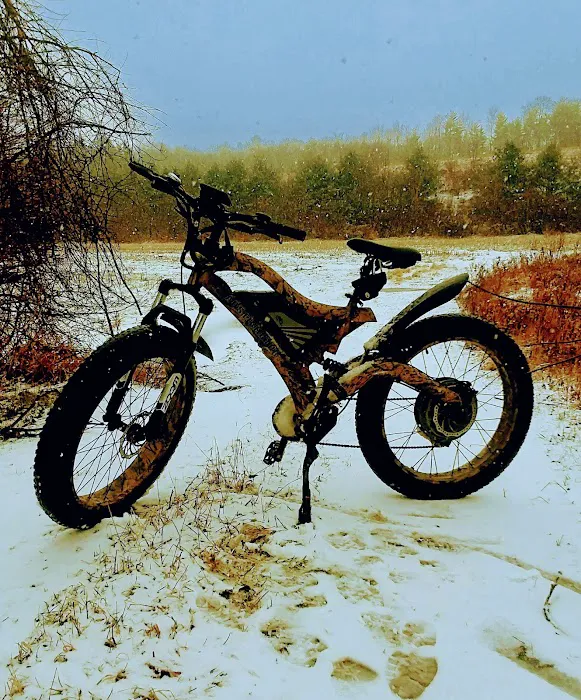 Bushbustingbikes LLC Picture 7