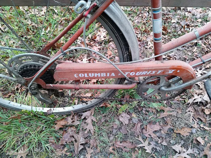 Dave's Bicycles Picture 6
