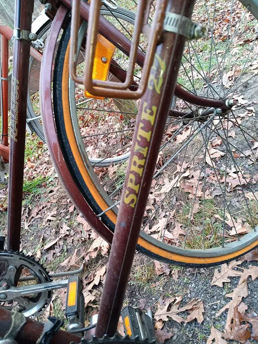 Dave's Bicycles Picture 5