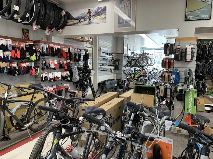 Milford Bicycle Picture 7