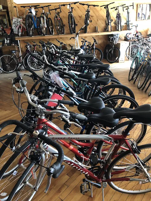 Ray & Sons Cycle & Ski Picture 3