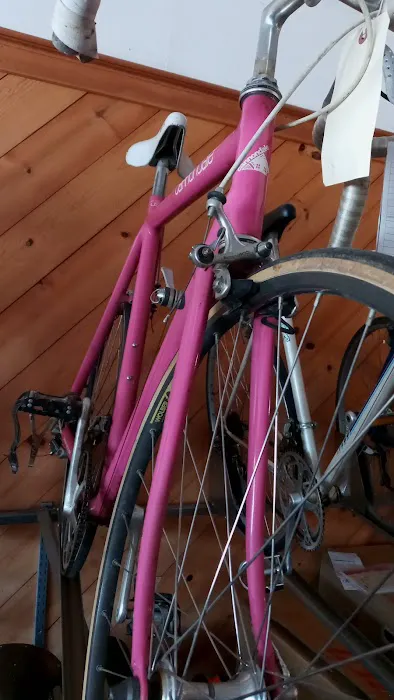 Ray & Sons Cycle & Ski Picture 7