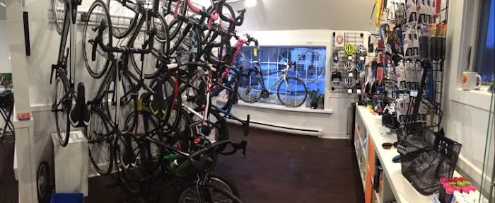 Steve the Bike Guy Picture 9
