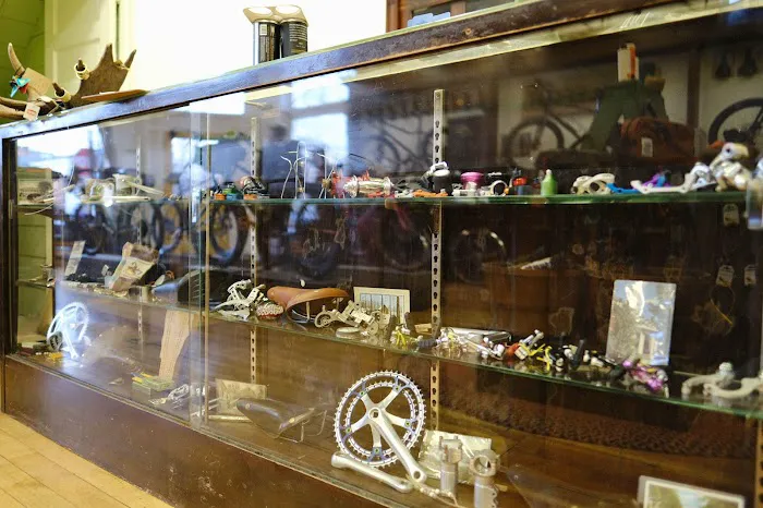 Analog Cycles Picture 6