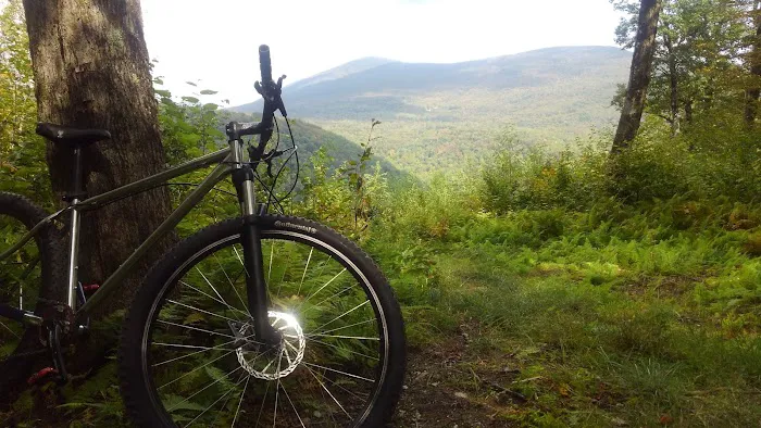 Battenkill Bicycles Picture 4