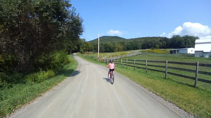 Battenkill Bicycles Picture 8