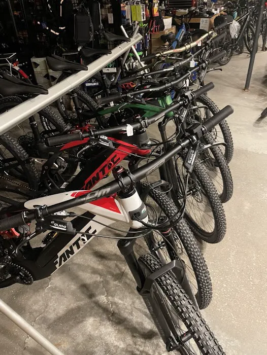 Rutland City Bikes Picture 2