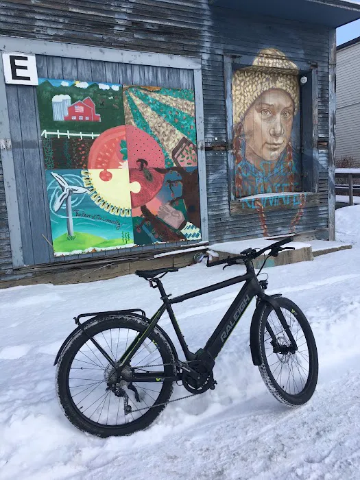 Rutland City Bikes Picture 7