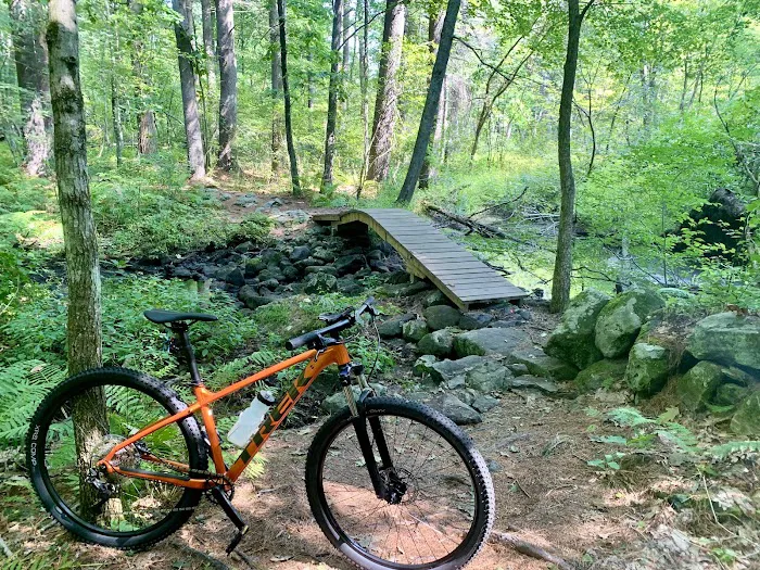 Frank's Spoke'n Wheel Picture 3