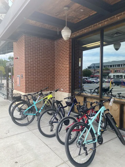 Landry's Bicycles Picture 3
