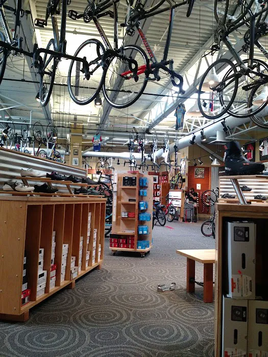 Landry's Bicycles Picture 2