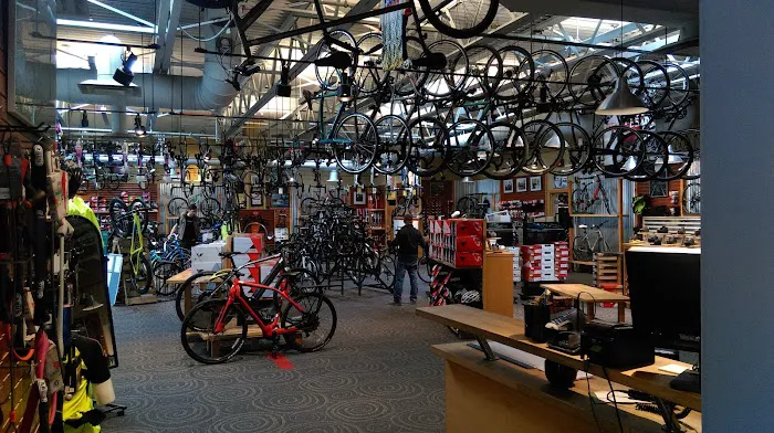 Landry's Bicycles Picture 8