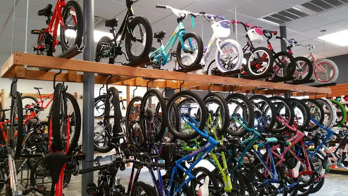 Landry's Bicycles Picture 6